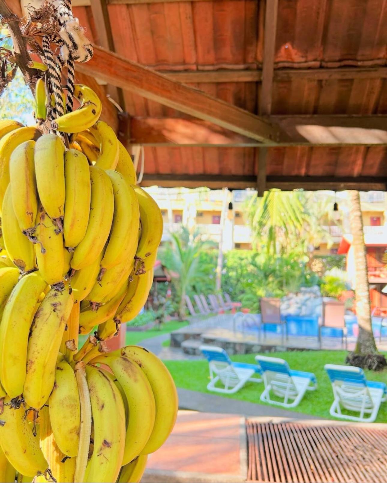 Hotel Los Ranchos Jacó Екстериор снимка